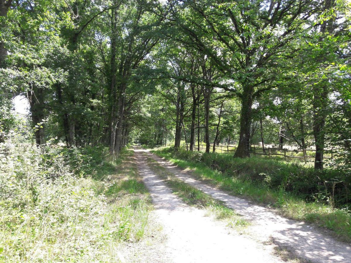 Clémont Domaine De Malgarniヴィラ エクステリア 写真